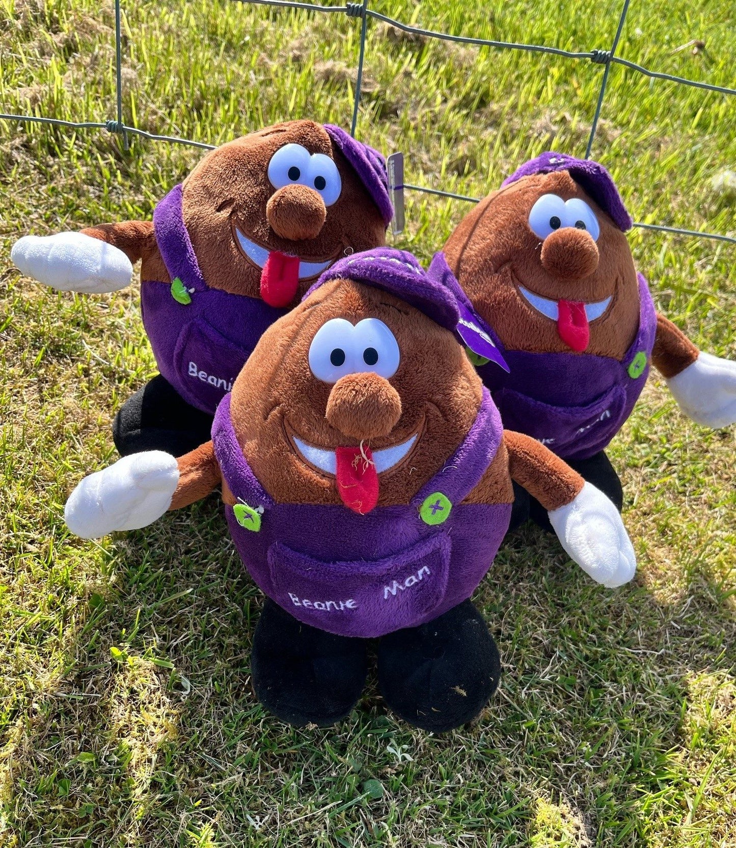 cocoabean beanie man